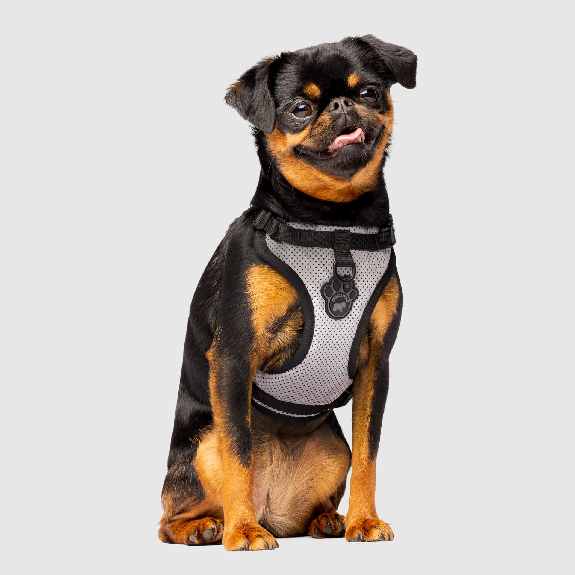 Best Selling Dog Clothes